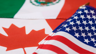 Tariffs, CUSMA and the Canadian Labour Market